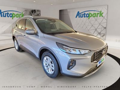 Ford Kuga Gebrauchtwagen