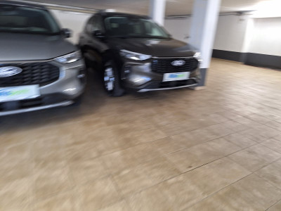 Ford Kuga Gebrauchtwagen