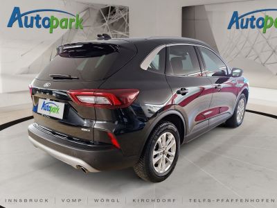 Ford Kuga Gebrauchtwagen