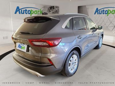 Ford Kuga Gebrauchtwagen