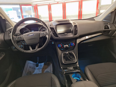 Ford Kuga Gebrauchtwagen