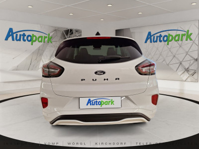 Ford Puma Neuwagen