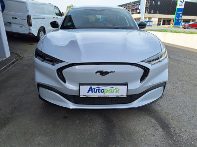Ford Mustang Mach-E Gebrauchtwagen Ford Mustang Mach-E Gebrauchtwagen