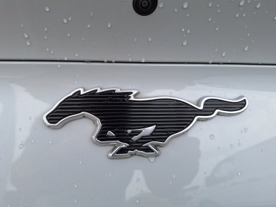 Ford Mustang Mach-E Gebrauchtwagen Ford Mustang Mach-E Gebrauchtwagen