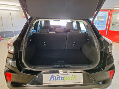 Ford Puma Gebrauchtwagen Ford Puma Gebrauchtwagen