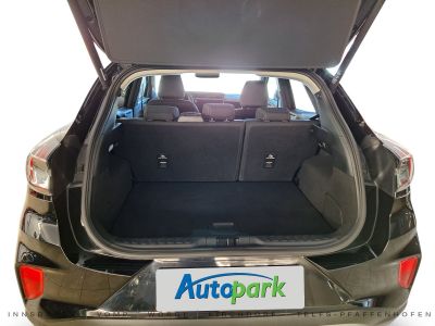 Ford Puma Gebrauchtwagen Ford Puma Gebrauchtwagen