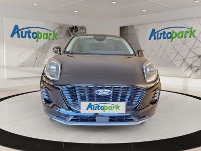 Ford Puma Gebrauchtwagen Ford Puma Gebrauchtwagen