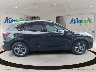 Ford Kuga Gebrauchtwagen Ford Kuga Gebrauchtwagen