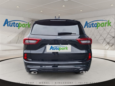 Ford Kuga Gebrauchtwagen Ford Kuga Gebrauchtwagen
