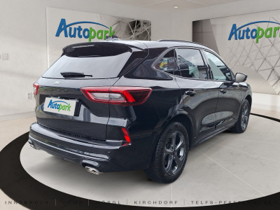 Ford Kuga Gebrauchtwagen Ford Kuga Gebrauchtwagen