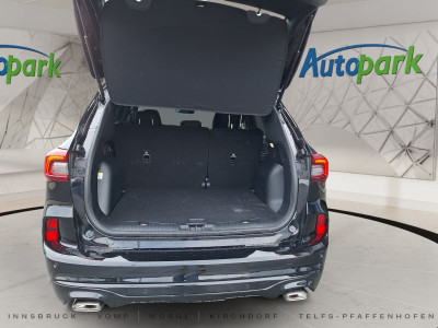 Ford Kuga Gebrauchtwagen Ford Kuga Gebrauchtwagen