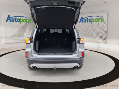 Ford Kuga Gebrauchtwagen Ford Kuga Gebrauchtwagen