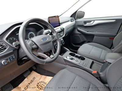Ford Kuga Gebrauchtwagen Ford Kuga Gebrauchtwagen