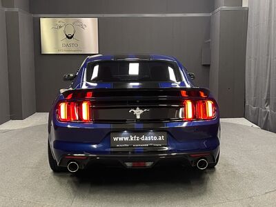 Ford Mustang Gebrauchtwagen