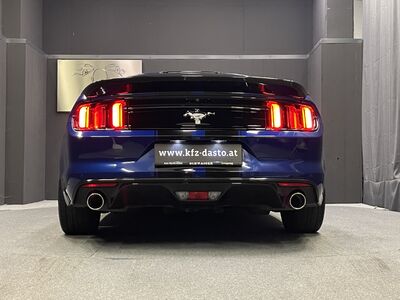 Ford Mustang Gebrauchtwagen