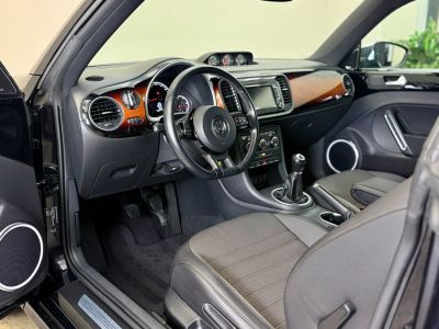 VW Beetle Gebrauchtwagen