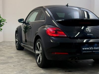 VW Beetle Gebrauchtwagen