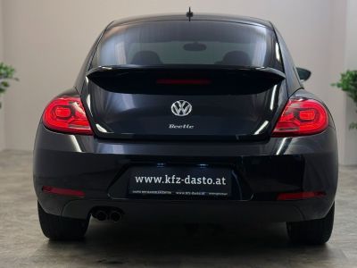 VW Beetle Gebrauchtwagen