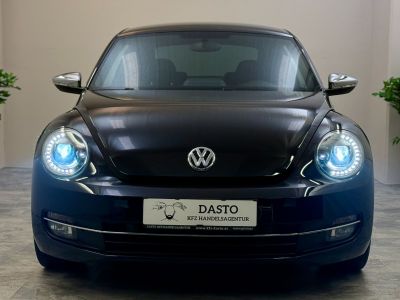 VW Beetle Gebrauchtwagen