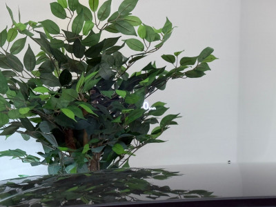 Audi A8 Gebrauchtwagen