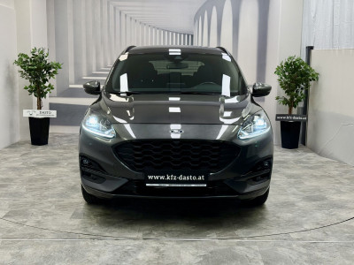Ford Kuga Gebrauchtwagen Ford Kuga Gebrauchtwagen