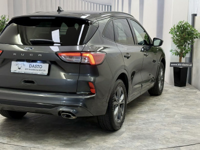 Ford Kuga Gebrauchtwagen Ford Kuga Gebrauchtwagen