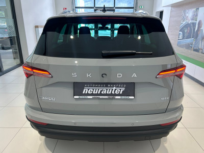 Skoda Karoq Gebrauchtwagen Skoda Karoq Gebrauchtwagen
