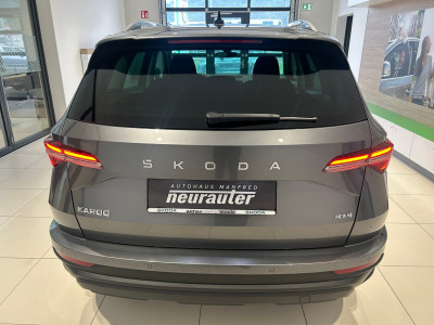 Skoda Karoq Gebrauchtwagen Skoda Karoq Gebrauchtwagen