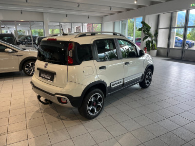 Fiat Panda Gebrauchtwagen Fiat Panda Gebrauchtwagen