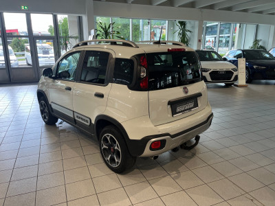 Fiat Panda Gebrauchtwagen Fiat Panda Gebrauchtwagen