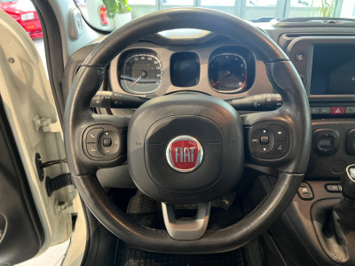 Fiat Panda Gebrauchtwagen Fiat Panda Gebrauchtwagen