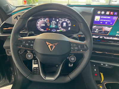Cupra Terramar Gebrauchtwagen Cupra Terramar Gebrauchtwagen