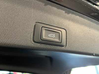 Cupra Terramar Gebrauchtwagen Cupra Terramar Gebrauchtwagen