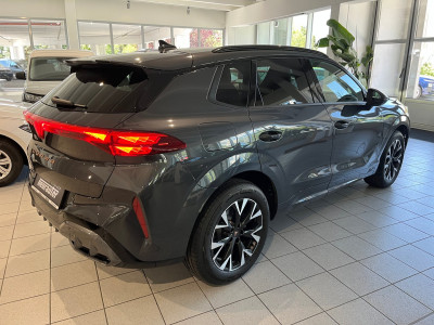 Cupra Terramar Gebrauchtwagen Cupra Terramar Gebrauchtwagen