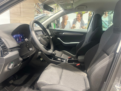 Skoda Karoq Gebrauchtwagen