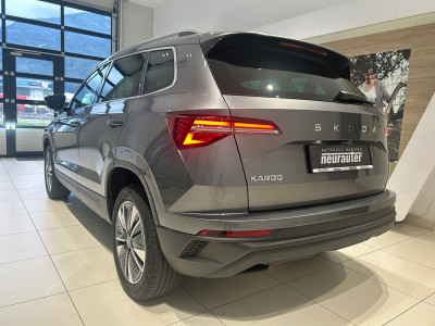 Skoda Karoq Gebrauchtwagen