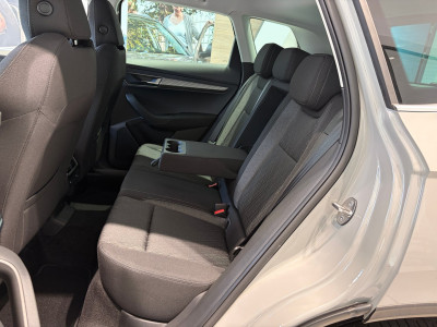 Skoda Karoq Gebrauchtwagen