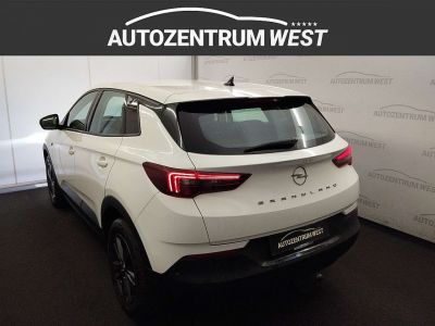 Opel Grandland Gebrauchtwagen