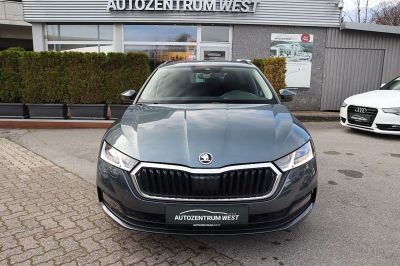 Skoda Octavia Gebrauchtwagen