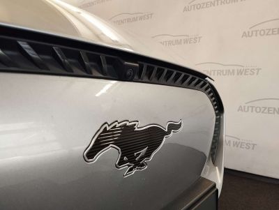 Ford Mustang Mach-E Gebrauchtwagen