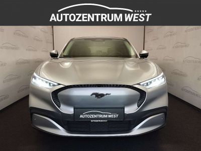 Ford Mustang Mach-E Gebrauchtwagen