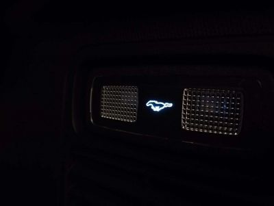 Ford Mustang Mach-E Gebrauchtwagen