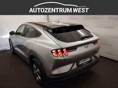 Ford Mustang Mach-E Gebrauchtwagen