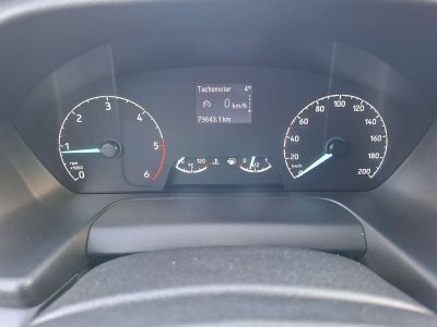 Ford Transit Custom Gebrauchtwagen