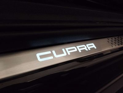 Cupra Tavascan Gebrauchtwagen