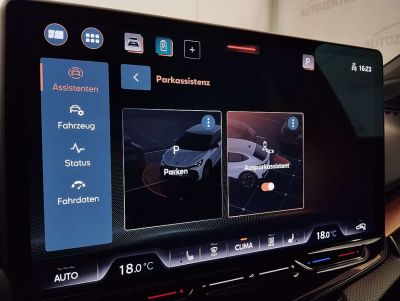 Cupra Tavascan Gebrauchtwagen