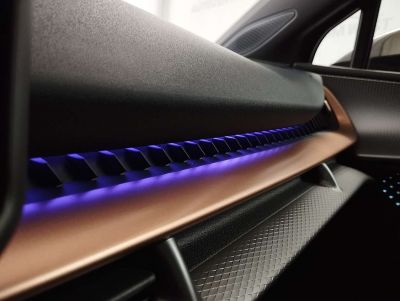 Cupra Tavascan Gebrauchtwagen