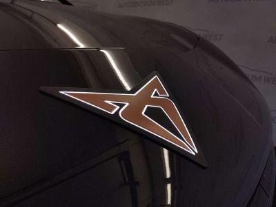 Cupra Tavascan Gebrauchtwagen