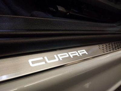 Cupra Tavascan Gebrauchtwagen