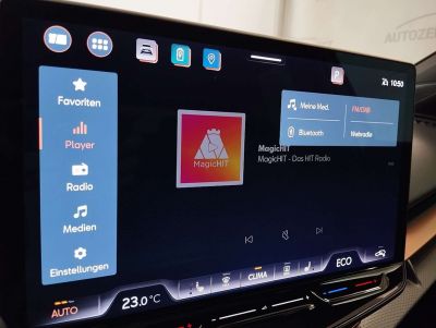 Cupra Tavascan Gebrauchtwagen